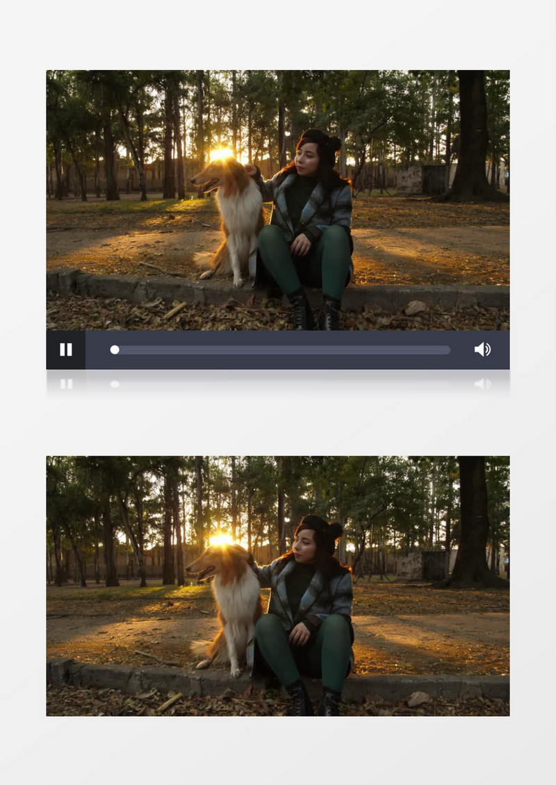 漂亮女孩跟棕色的牧羊犬坐在公园里实拍视频素材