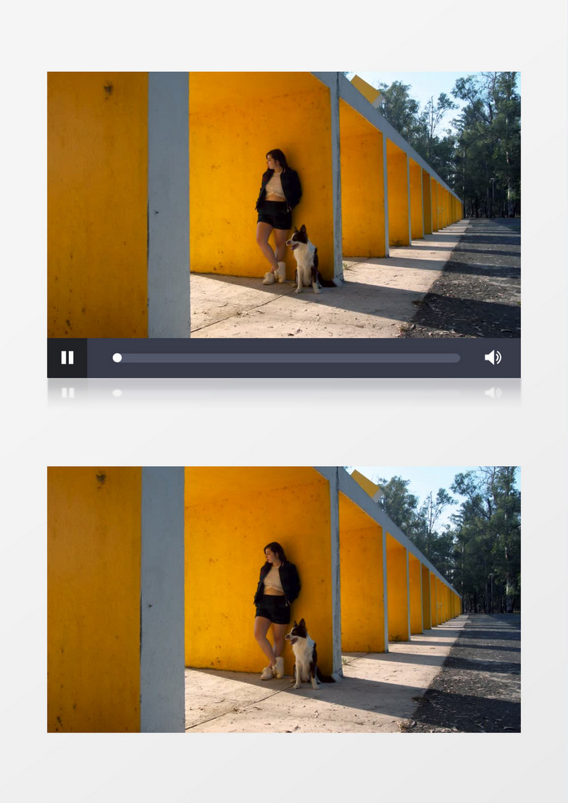 美女和她的狗站立在墙边实拍视频素材