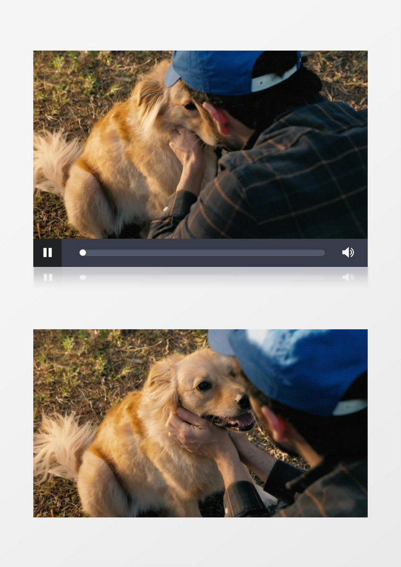  年轻男人在抚摸他的狗实拍视频素材