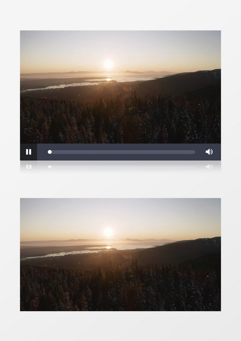 从松树林里看日出实拍视频素材