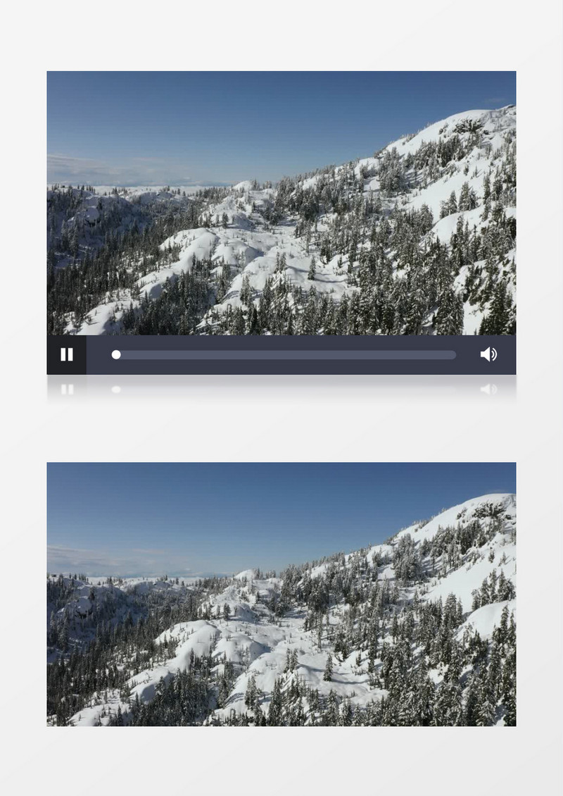 高清拍摄大晴天松树林被白雪覆盖实拍视频素材