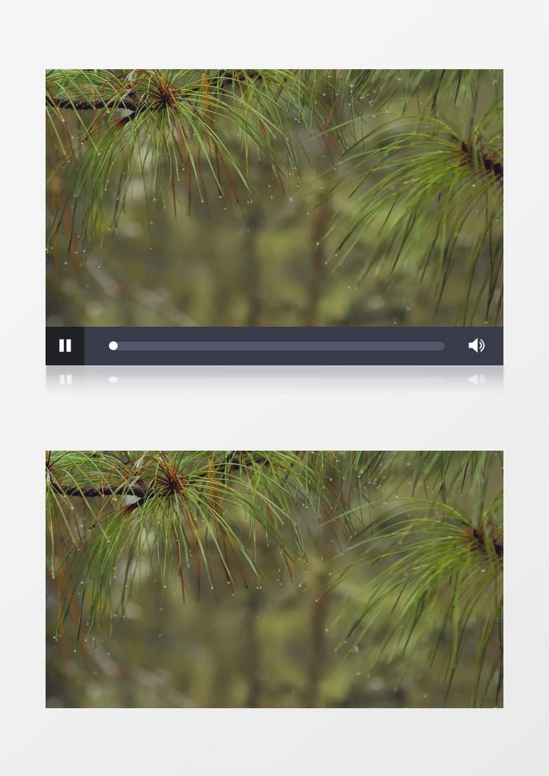 特写拍摄绿叶上的雨滴实拍视频素材