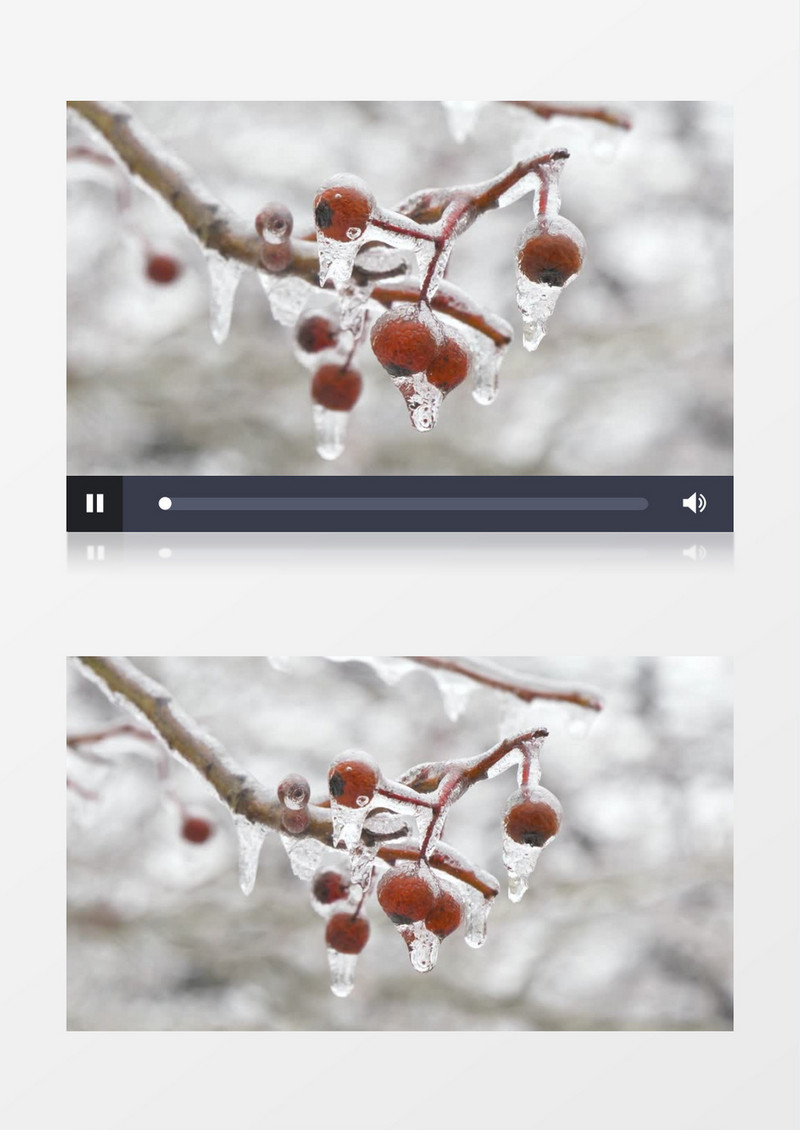 冬日冻结冰的山楂果实实拍视频素材