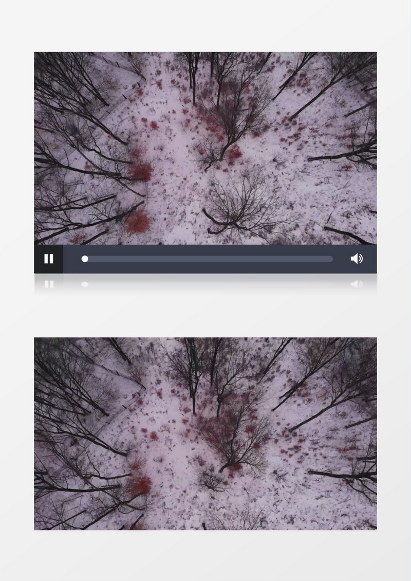 俯拍大雪覆盖的树林实拍视频素材