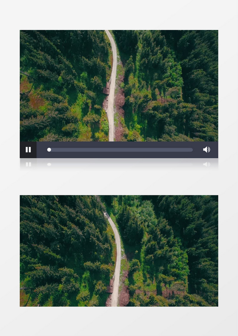 俯拍小路穿越在树林中实拍视频素材