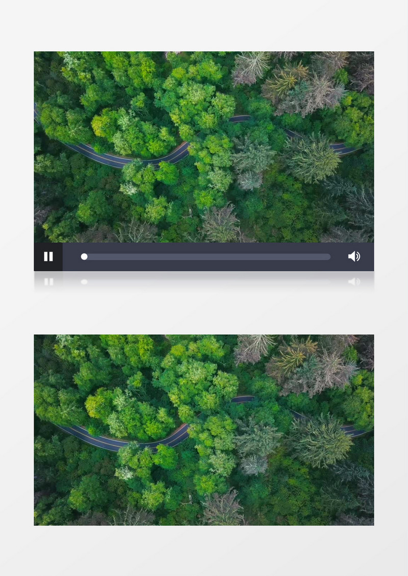 俯拍深林中蜿蜒道路实拍视频素材