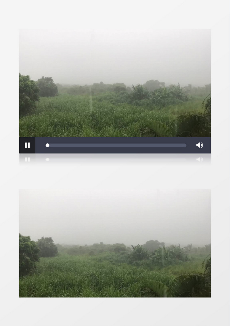青青草地上的微风细雨实拍视频素材