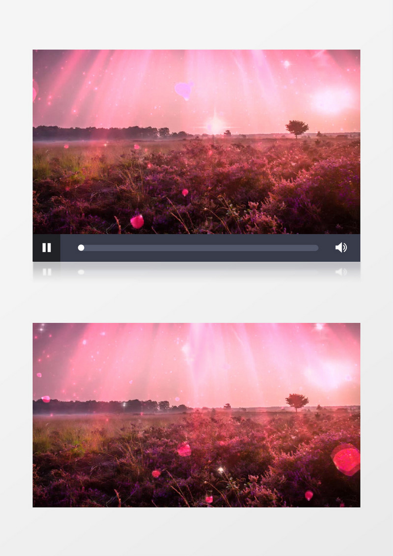粉色浪漫花瓣飘落动态视频背景