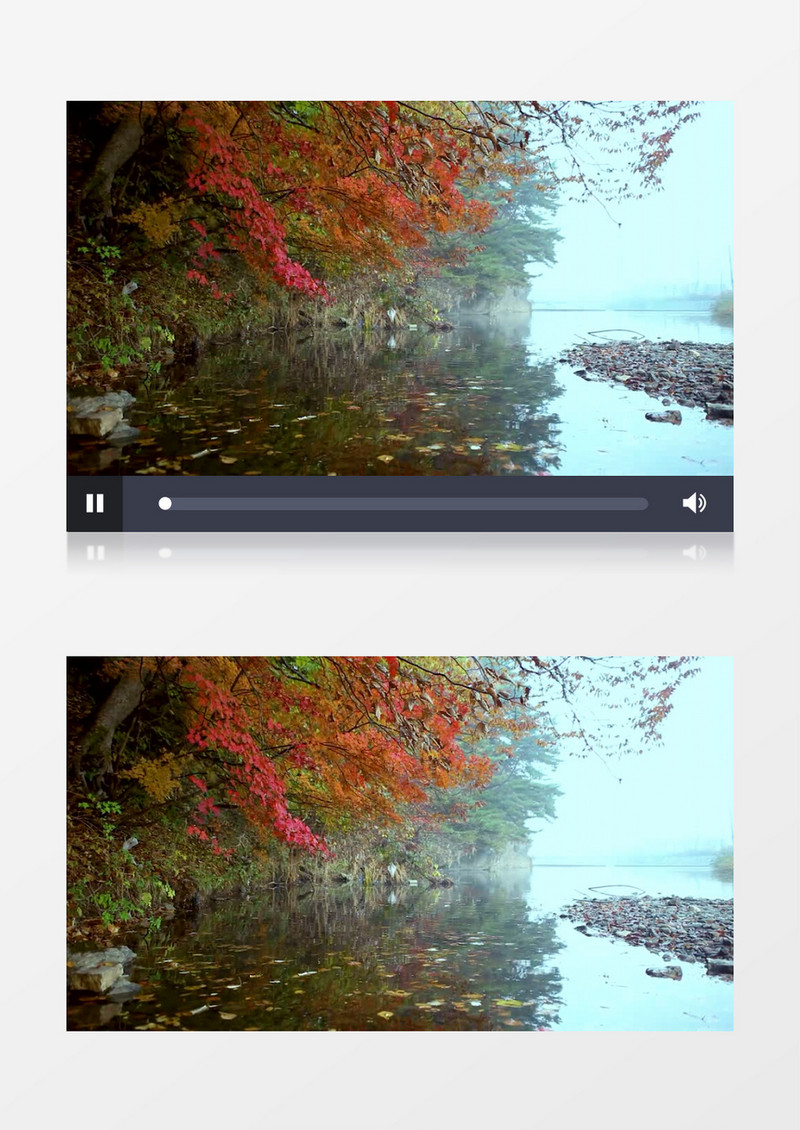 红色枫树下静静的水面实拍视频素材