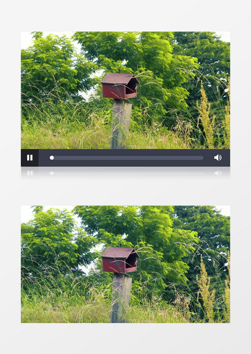多角度拍摄郊外的鸟巢实拍视频素材