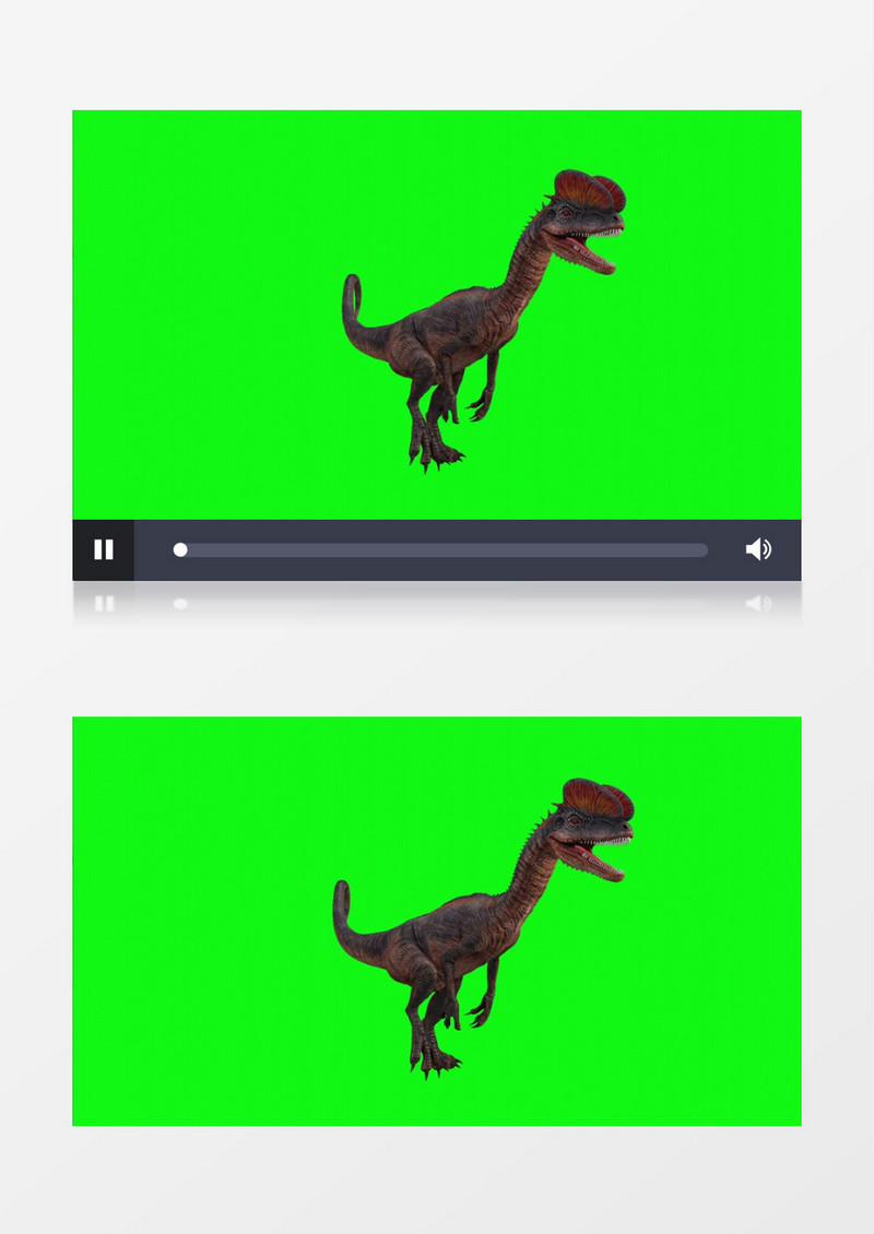  3D旋转的恐龙视频素材