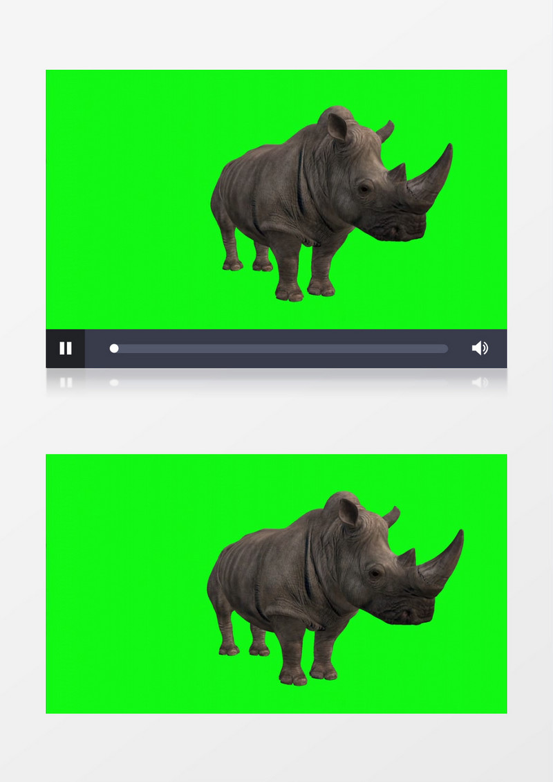 3D旋转的犀牛视频素材