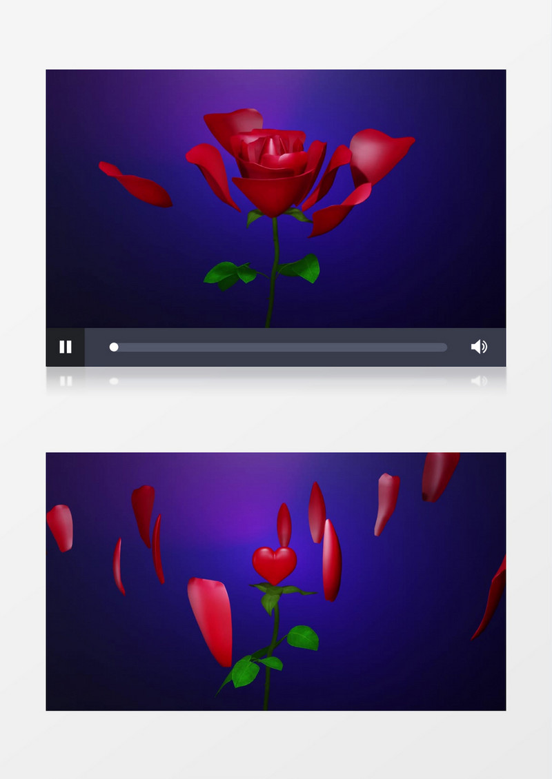 玫瑰花瓣掉落漏出心型花蕊视频素材