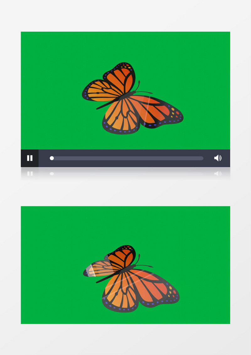蝴蝶在飞舞视频素材