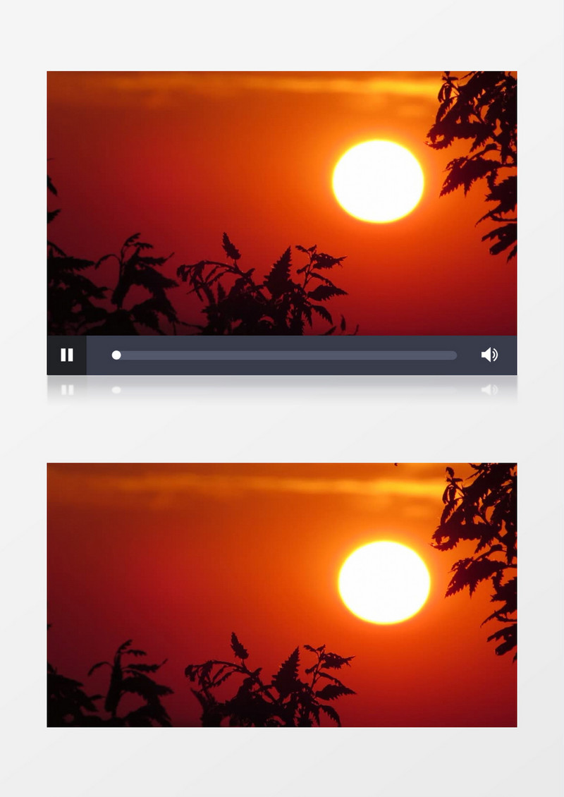 树影斑驳间的落日美景实拍视频素材