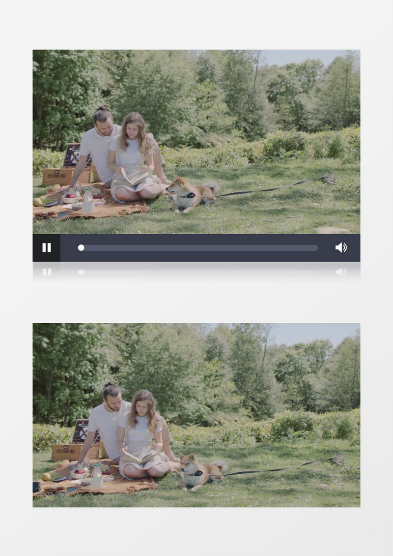 一对年轻男女带着宠物野餐实拍视频素材