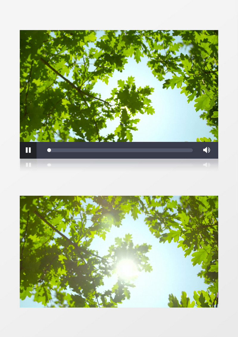 高清拍摄唯美阳光与树叶实拍视频