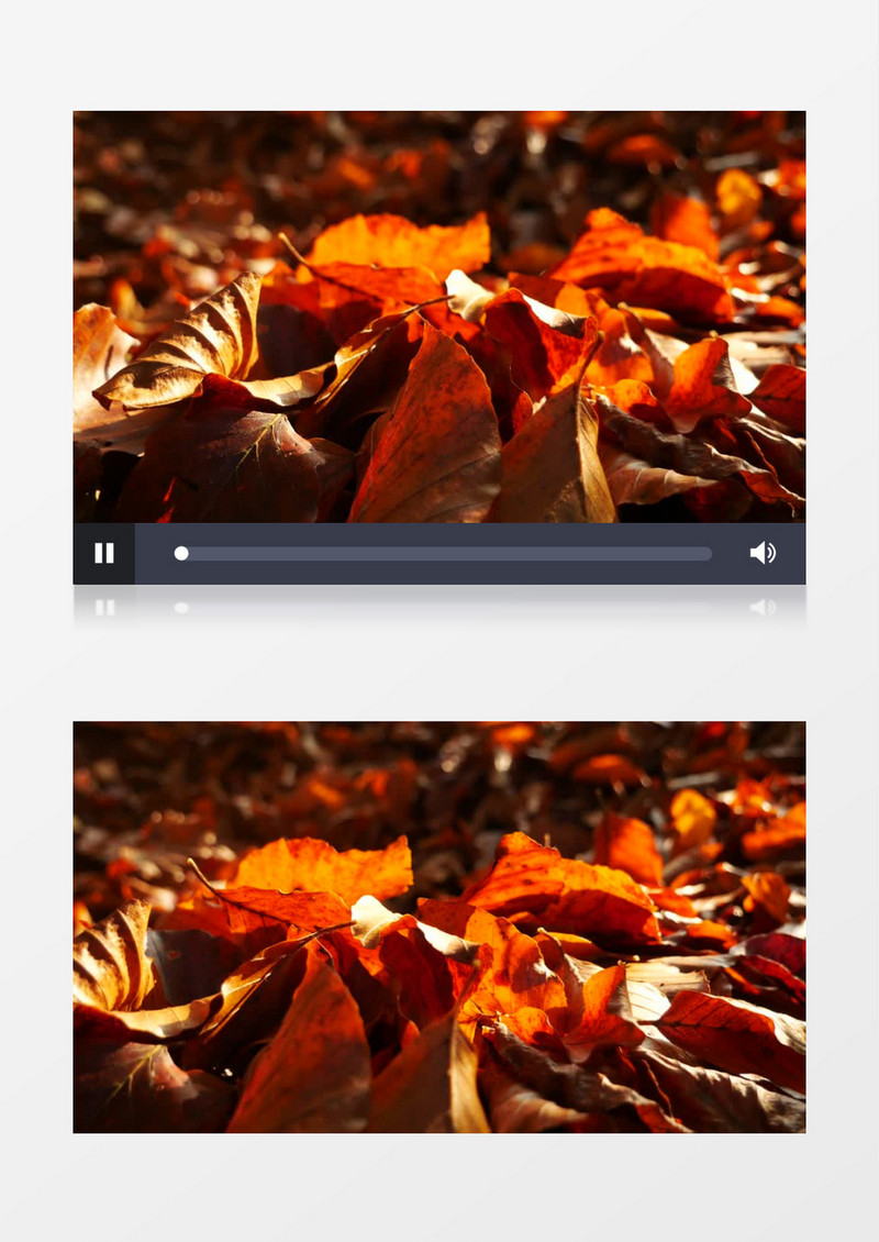 实拍深秋地面金黄的落叶实拍视频素材