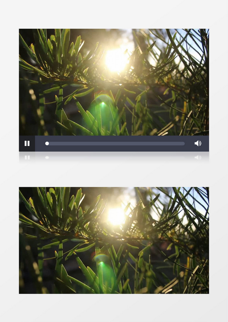 清晨的阳光照射在树叶上实拍视频素材