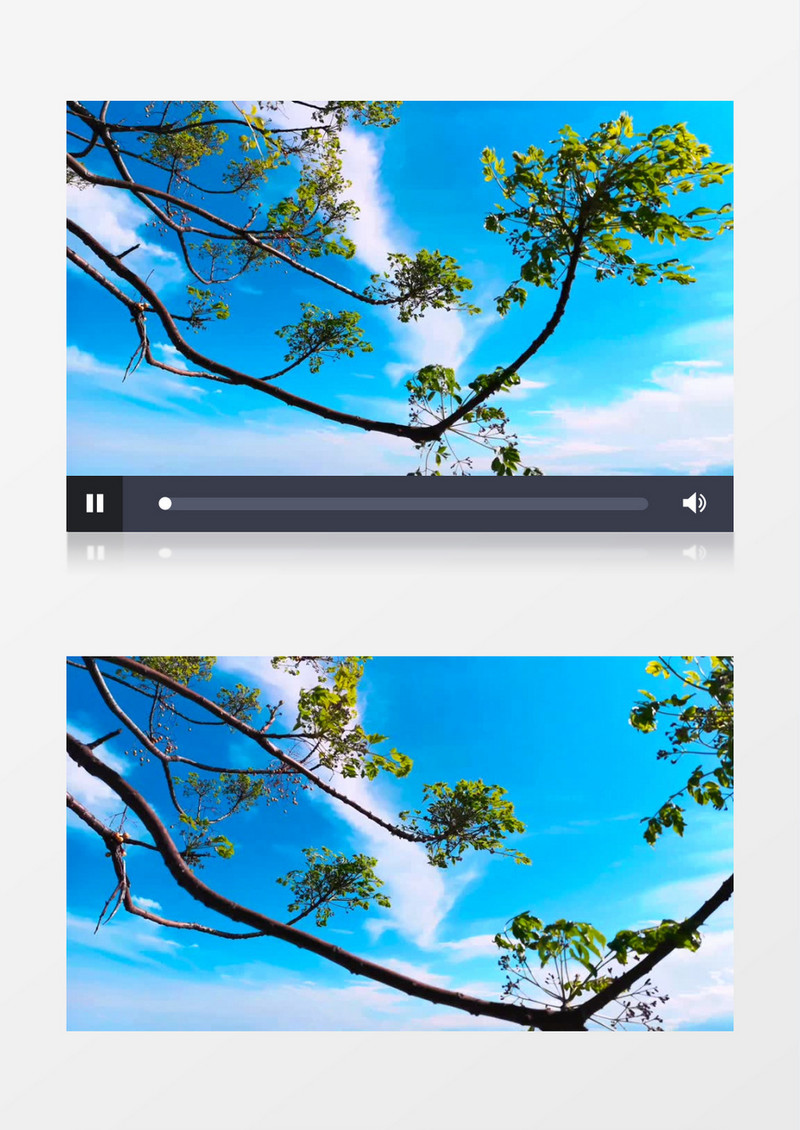 高清实拍蓝天下随风飘动的树实拍视频素材