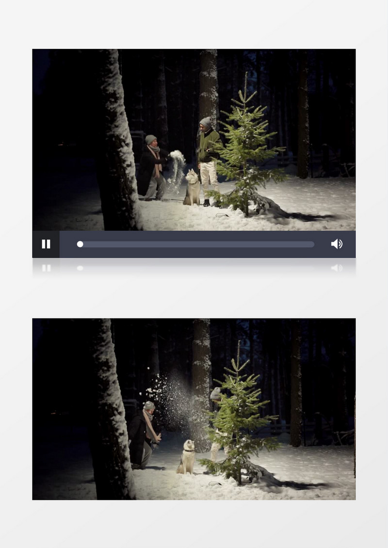 情侣和狗在夜晚撒雪实拍视频素材