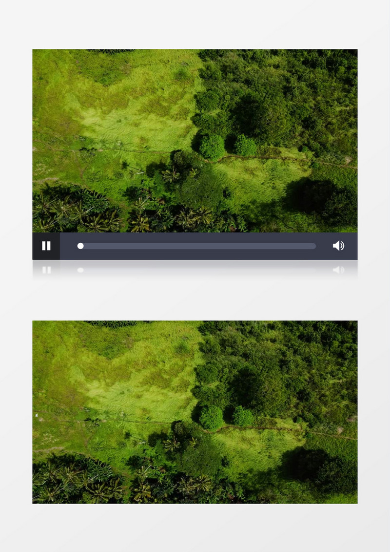 高清航拍地面的绿色植被实拍视频素材