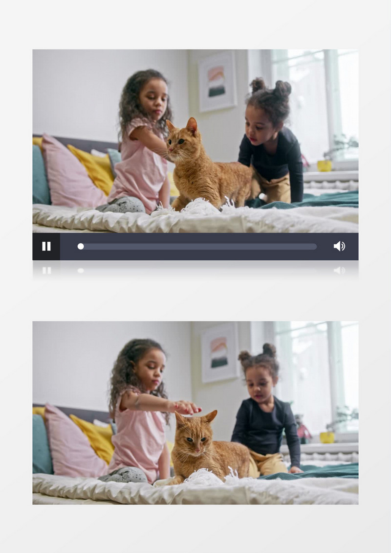 两个小女孩在床上抚摸猫实拍视频素材