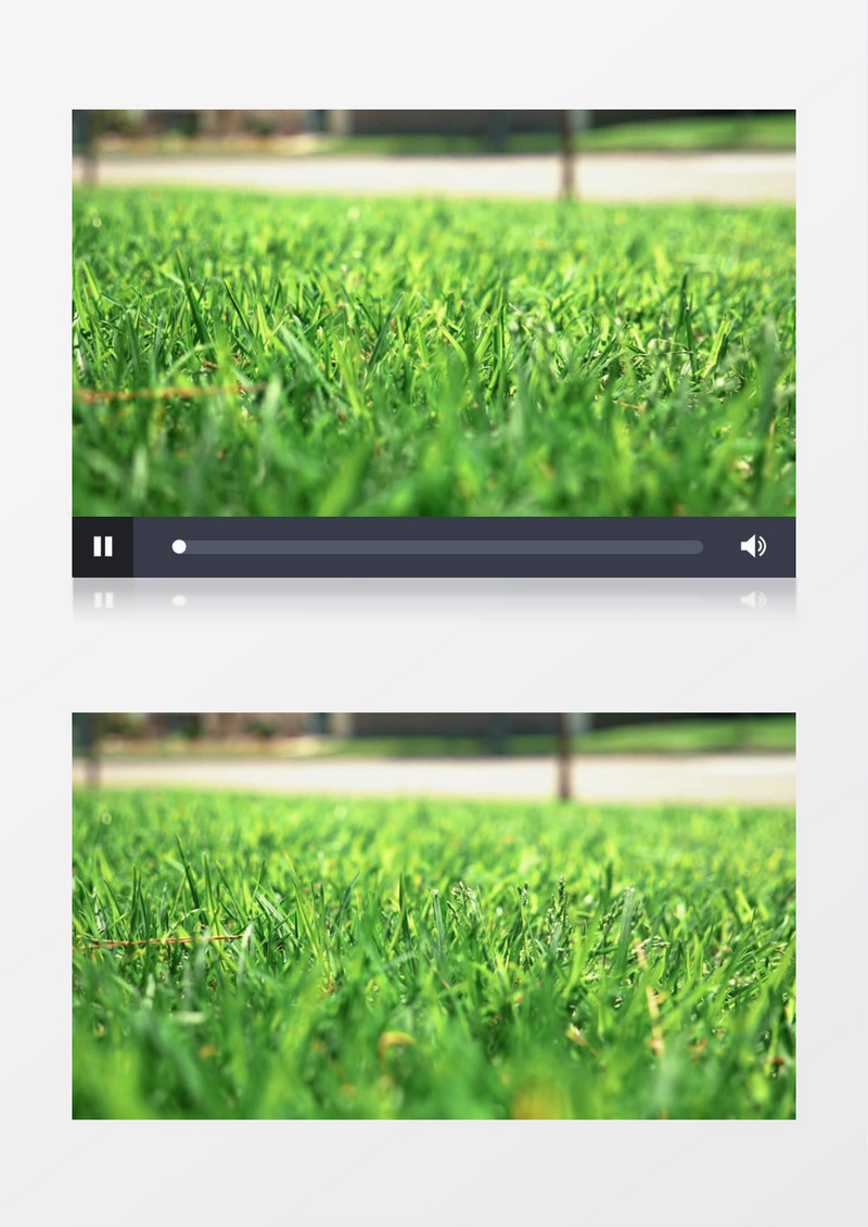 虚实结合拍摄绿色的草地实拍视频素材