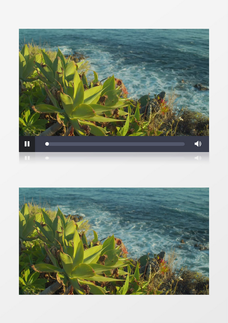 高清实拍海边断崖上的植被景象实拍视频素材