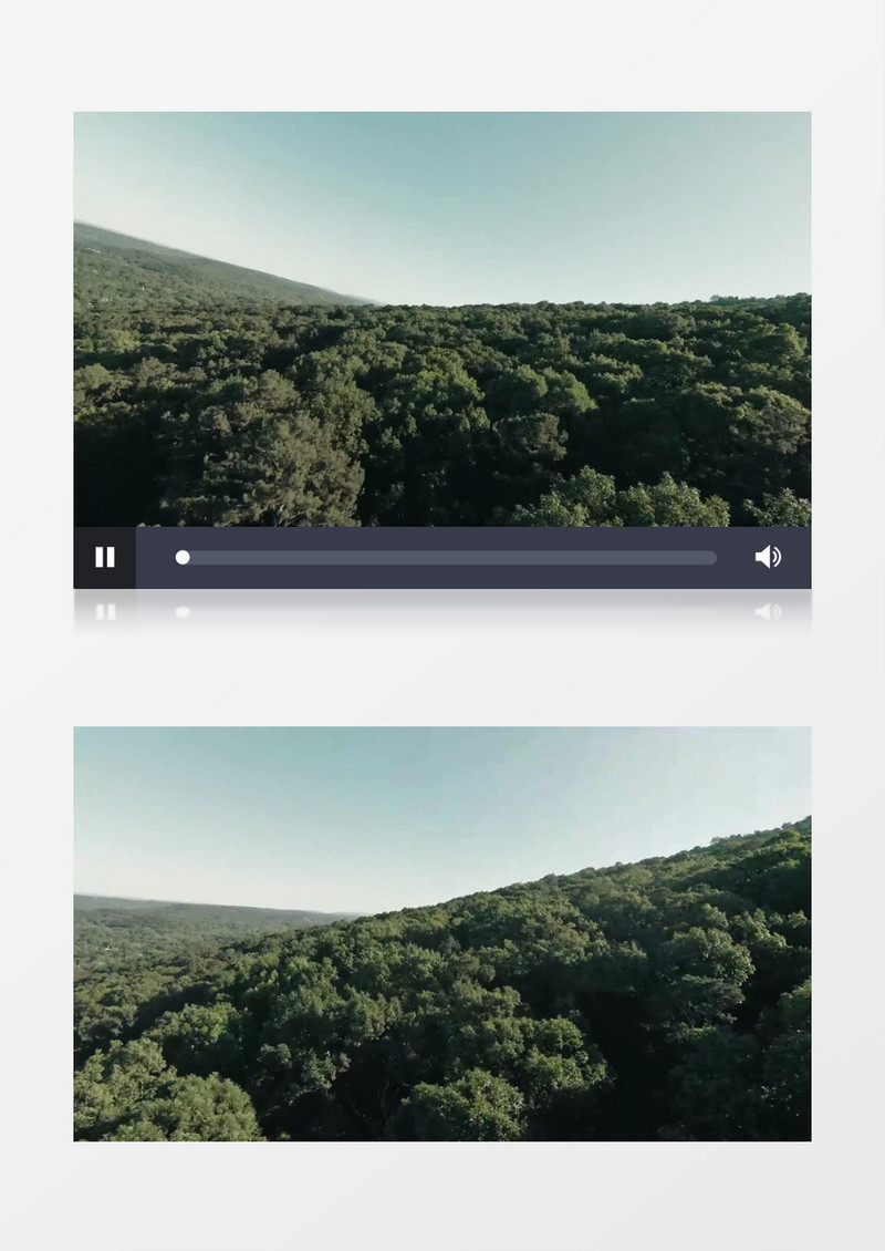 高清实拍郁郁葱葱的树林实拍视频素材