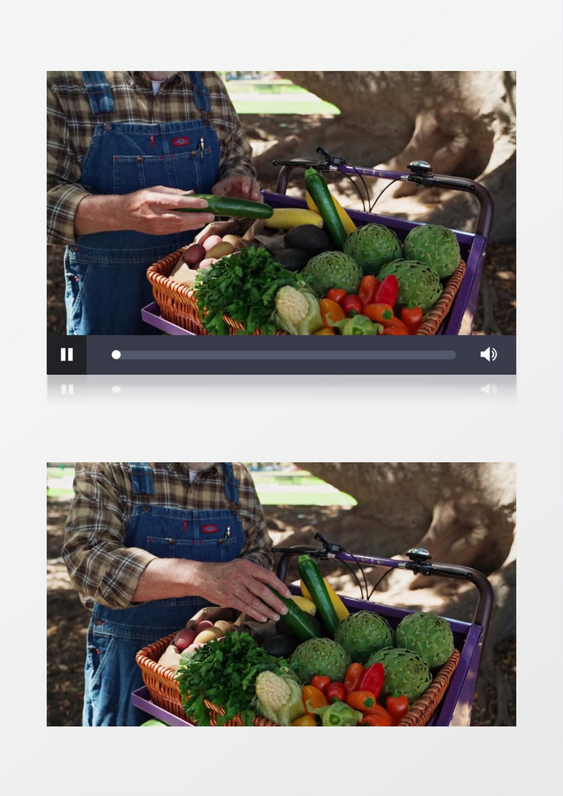 实拍老人在菜篮中摆放蔬菜实拍视频素材