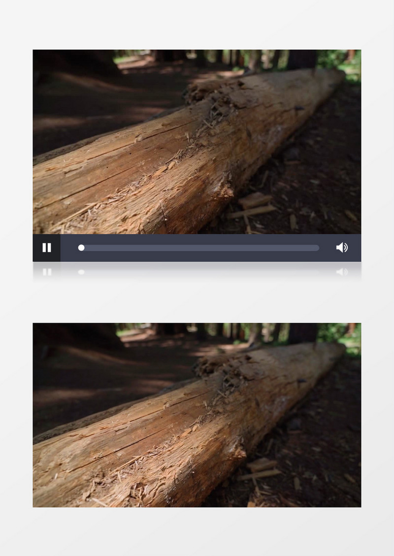 层层剥落干枯的树干实拍视频素材