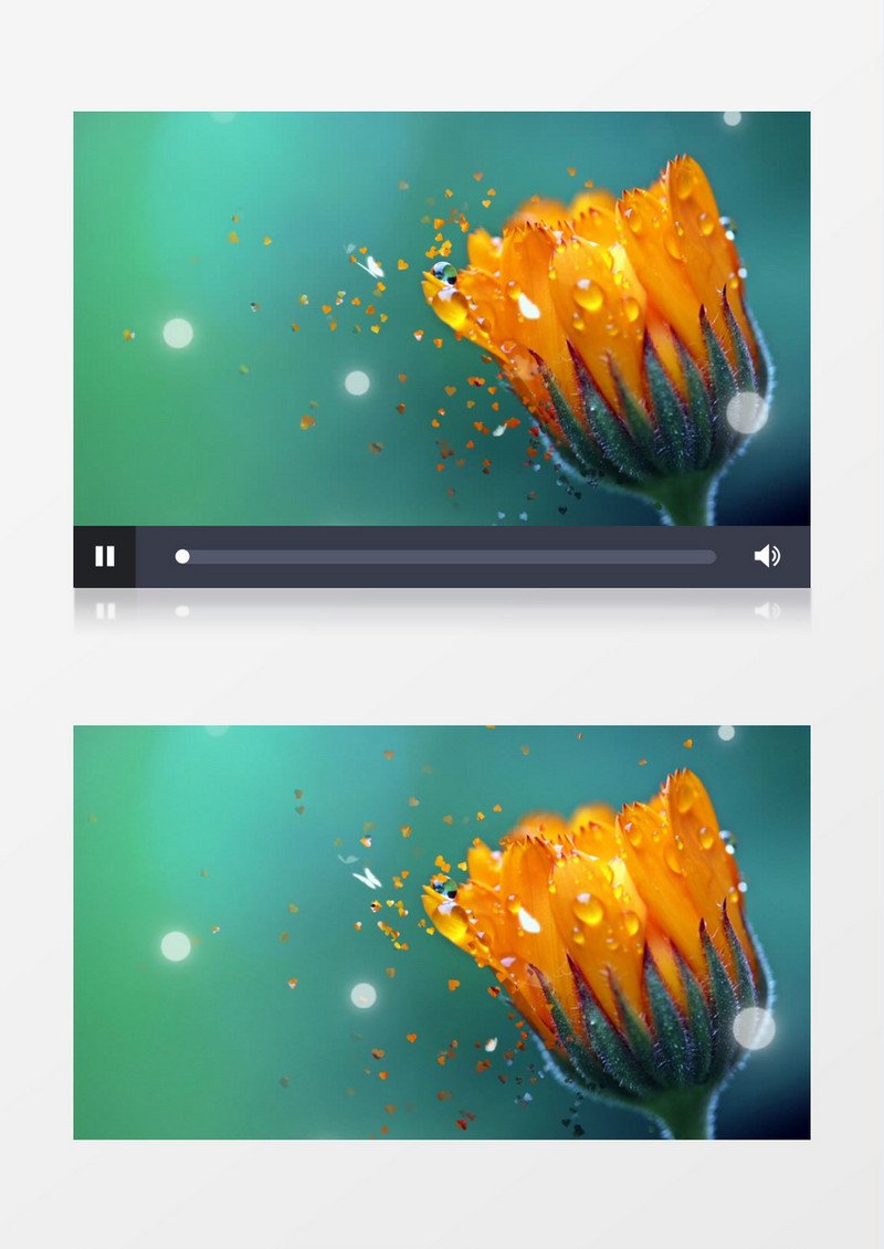 梦幻花朵散发心型粒子背景视频素材