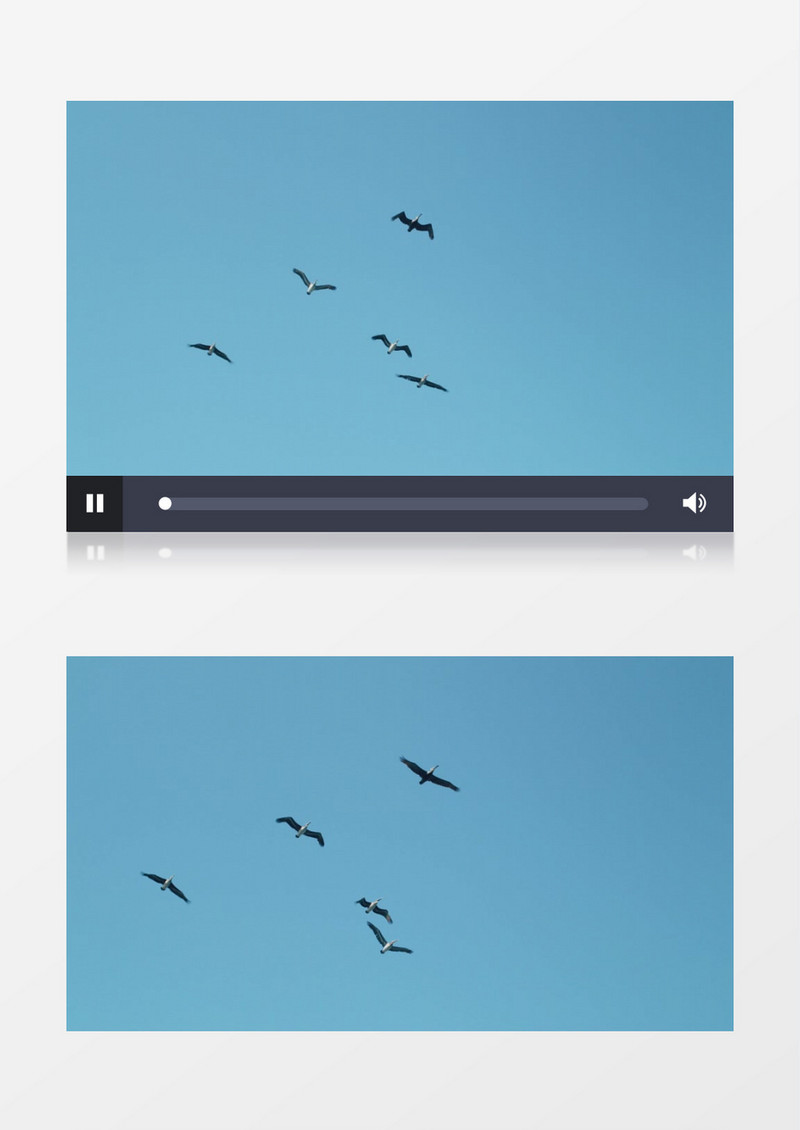 在天空中翱翔的雄鹰实拍视频素材