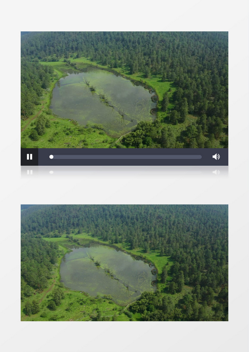 被树林围绕的湖泊实拍视频素材