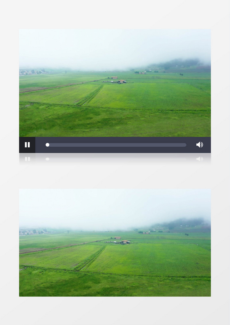 大片的嫩绿的平原田地实拍视频素材