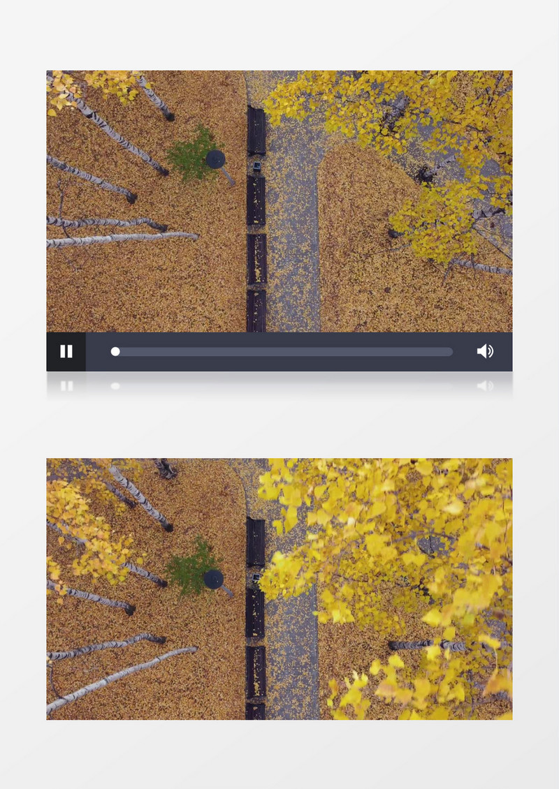 俯拍秋天公园里的落叶铺满道路实拍视频素材
