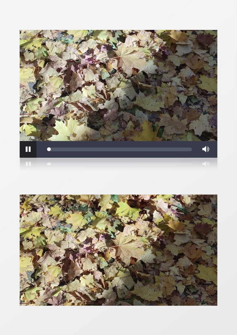 秋日黄色落叶铺满道路实拍视频素材