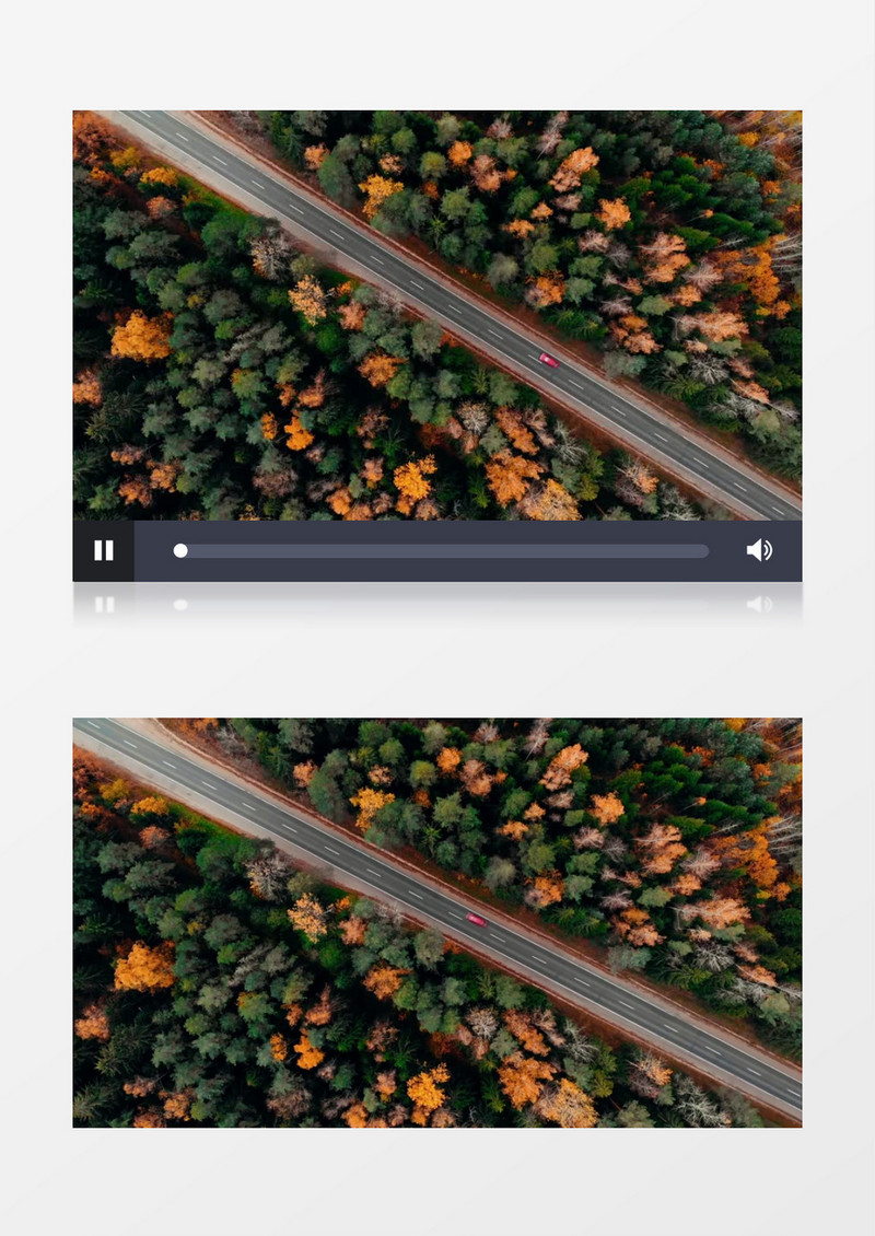 俯拍秋季道路两侧正在变黄的树林实拍视频素材