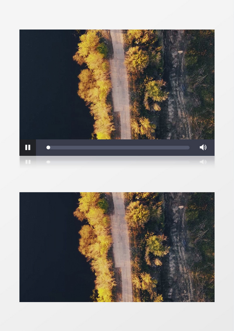 俯拍秋季道路两侧逐渐变黄的树叶实拍视频素材