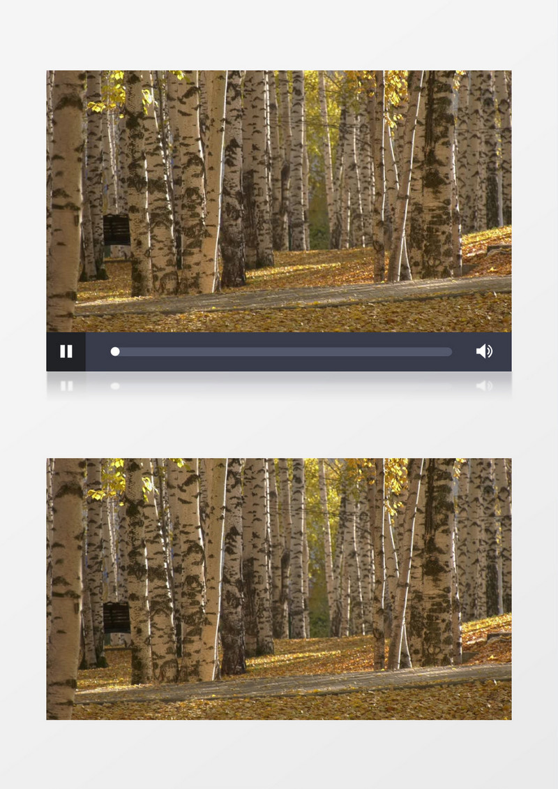 男人悠闲的走过满地落叶的树林实拍视频素材