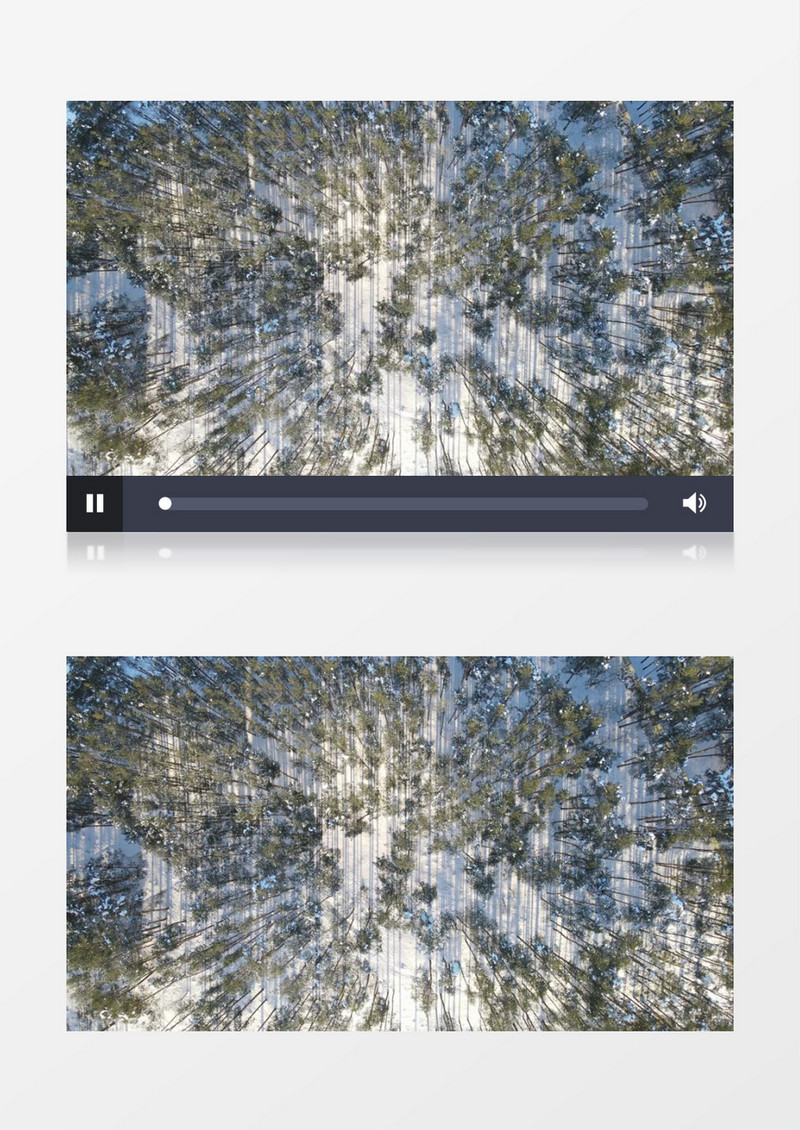实拍冰雪覆盖的树林日照下的景象实拍视频素材