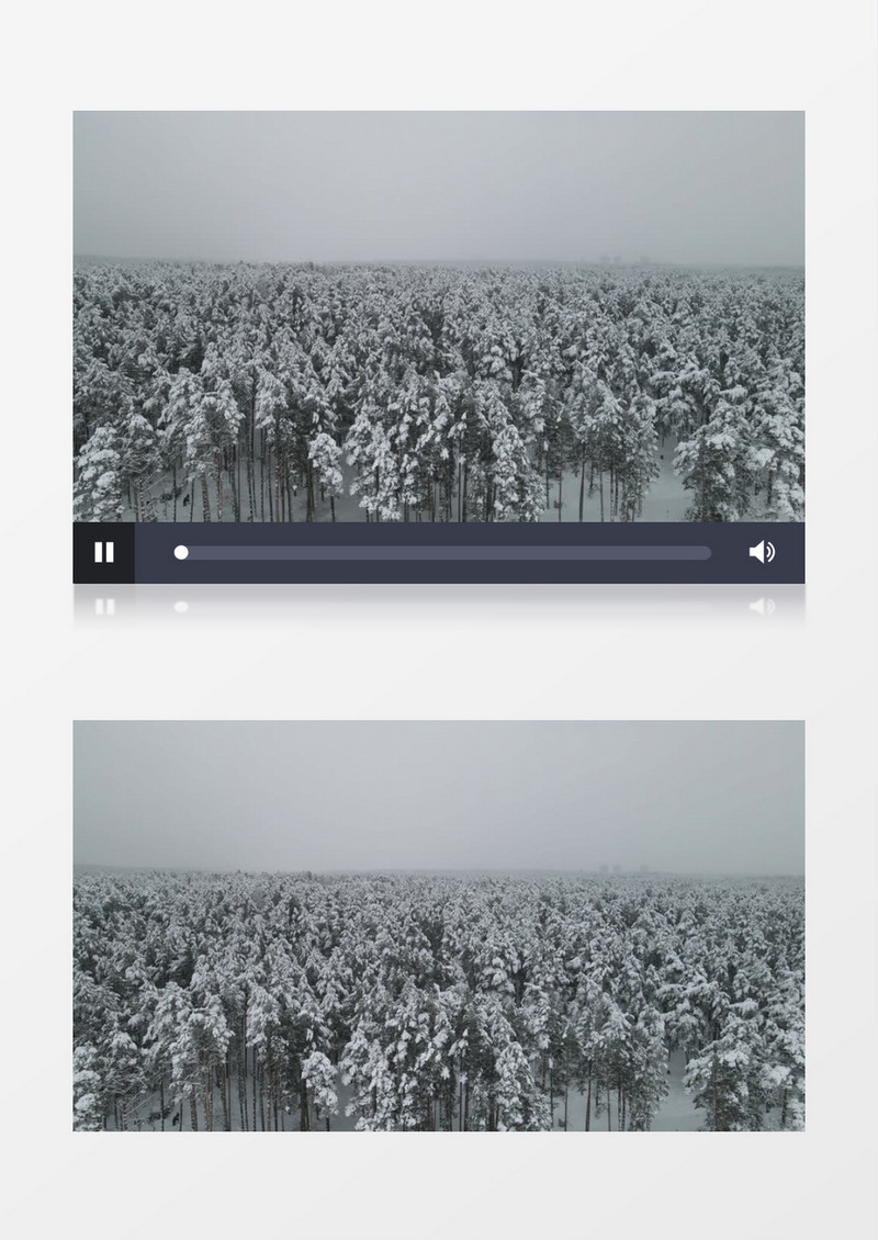 被冰雪覆盖的树林实拍视频素材