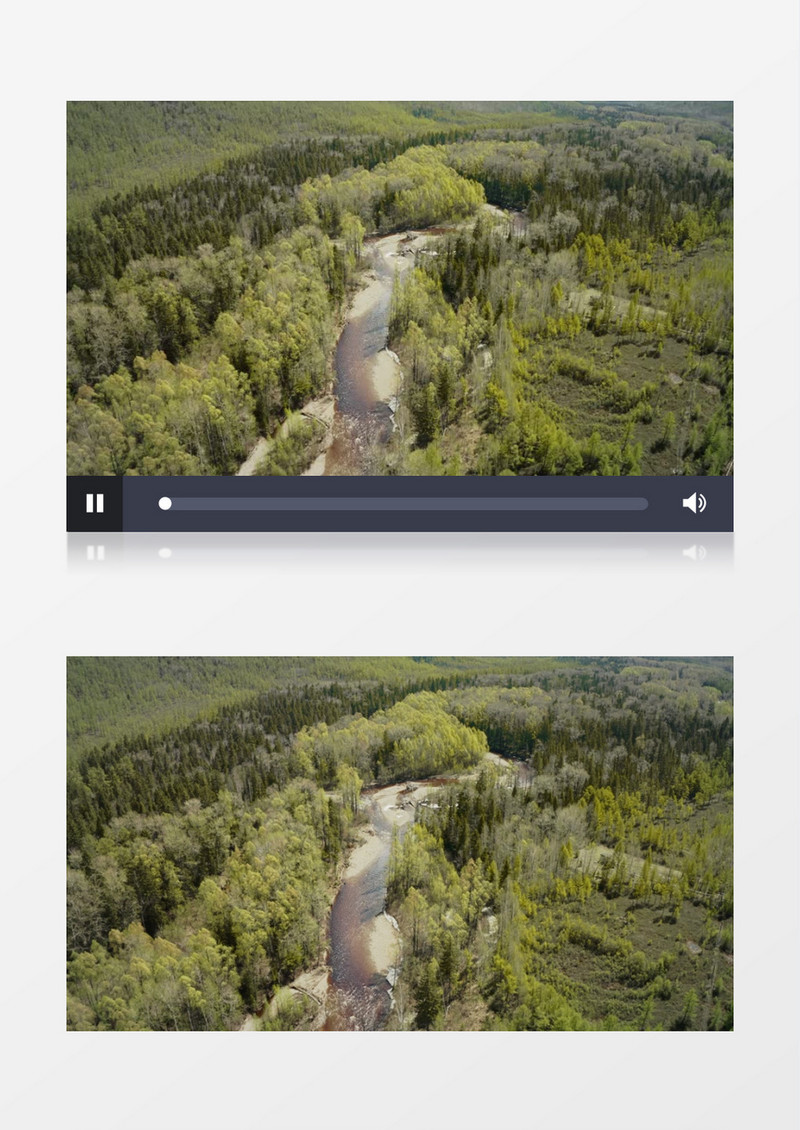 俯拍树林中缓缓流淌的溪水实拍视频素材