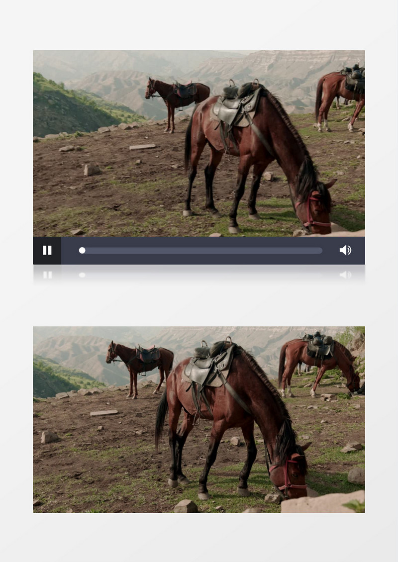 三匹马在山顶上悠闲的吃草实拍视频素材
