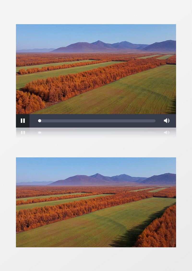 秋天大地上的植被变化景象实拍视频素材