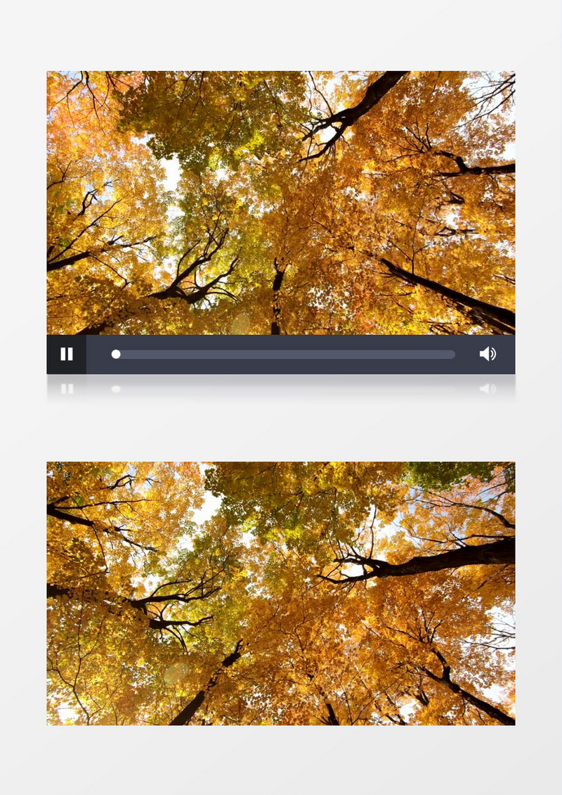 旋转拍摄秋天变黄的树叶实拍视频素材