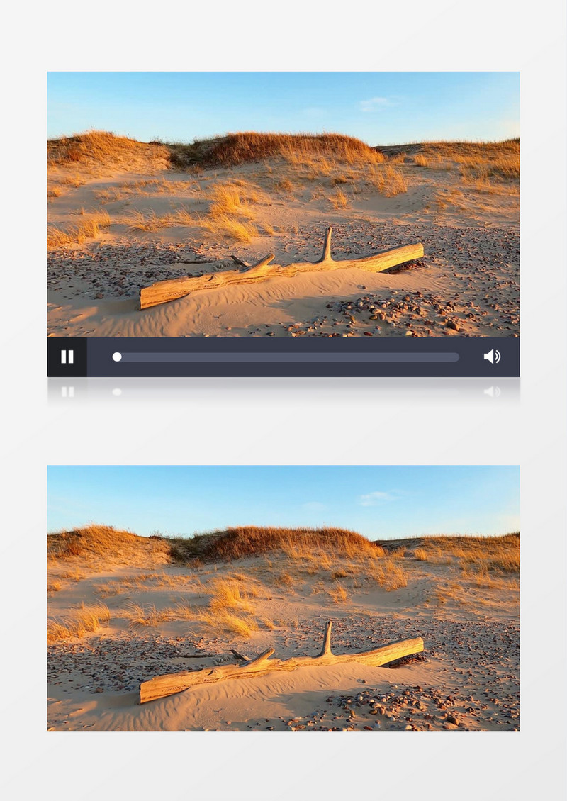 沙漠上枯黄的小草和满天的黄沙实拍视频素材