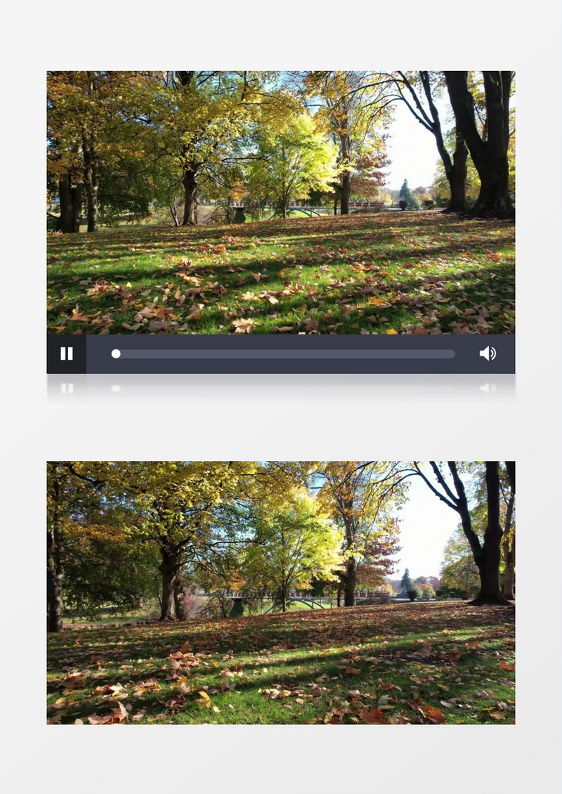 实拍公园的绿草地和小河景象实拍视频素材