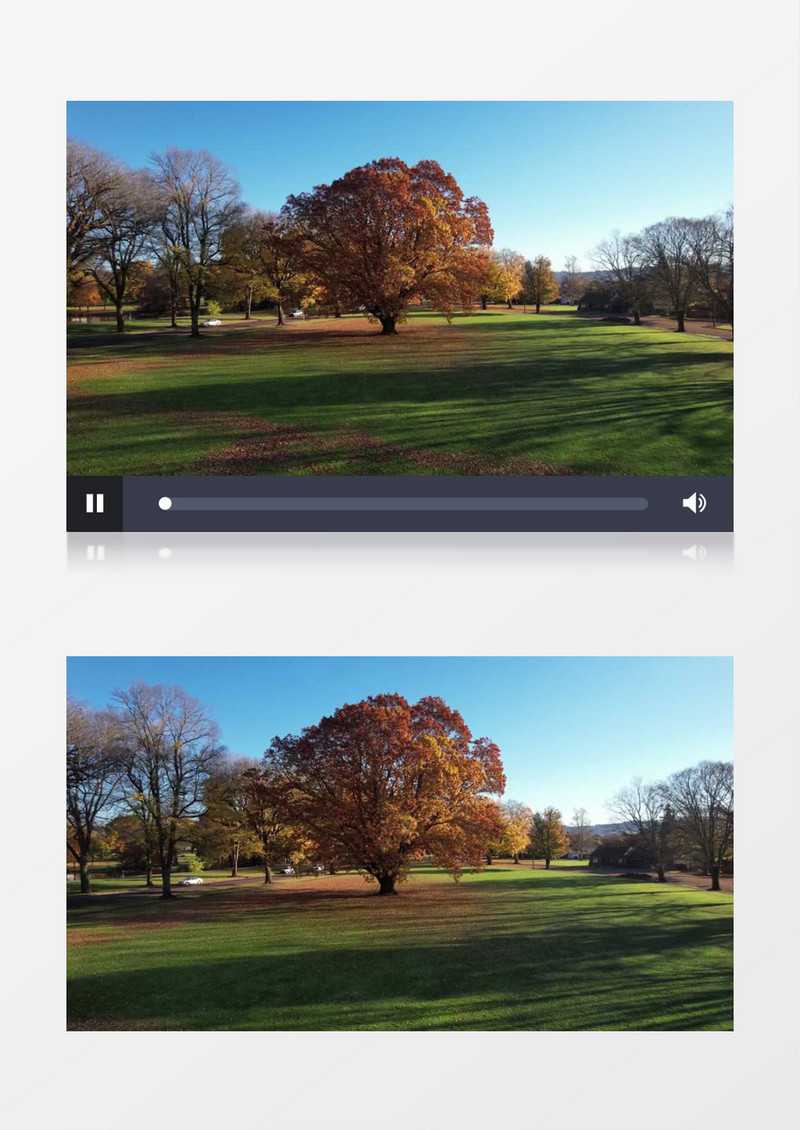 实拍公园的草地和公园树木俯瞰实拍视频素材